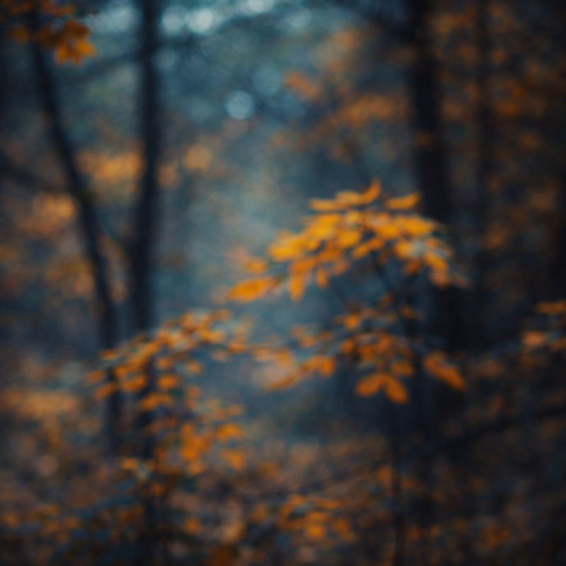 Find Your True North: An Invitation to the Prelude